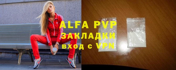 молекула духа Арсеньев