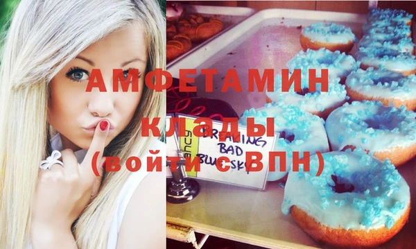 молекула духа Арсеньев