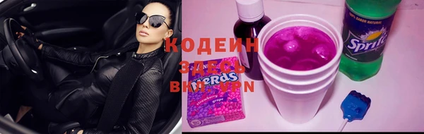 молекула духа Арсеньев