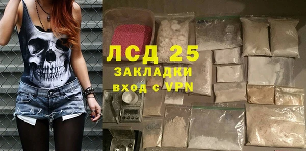 молекула духа Арсеньев