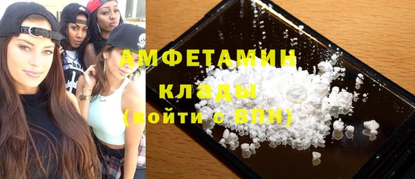 молекула духа Арсеньев
