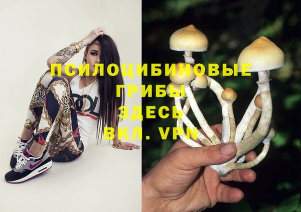 молекула духа Арсеньев