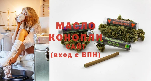 молекула духа Арсеньев